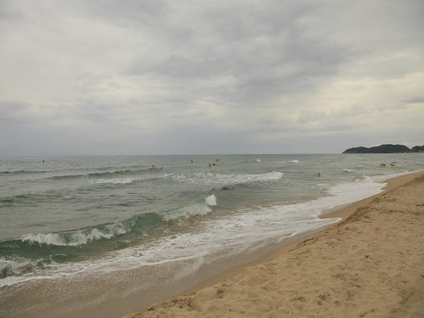 鳴尾浜臨海公園海づり広場阪神アグリな100スポット阪神アグリパーク