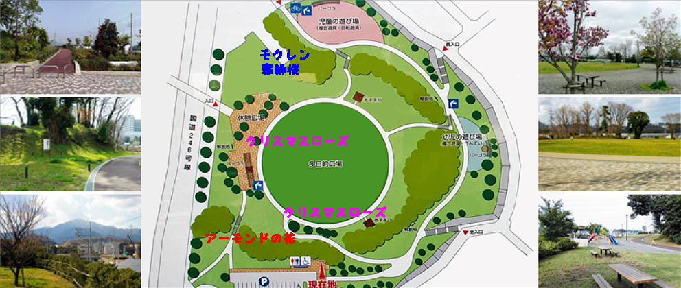 小丸山城址公園 丑寅の櫓 - works能登デザイン室