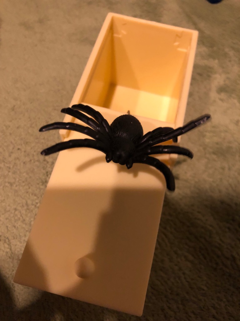 楽天市場 2024新作 おもちゃ 電動 蜘蛛 ゴキブリ ムカデ ハロウィン ラジコン ジョーク ドッキリ 超リアル 動く 面白い 偽ゴキブリ びっくり怖い いたずら道具 パーティー サプライズ 猫のおもちゃ : HEART MAX 楽天市場店