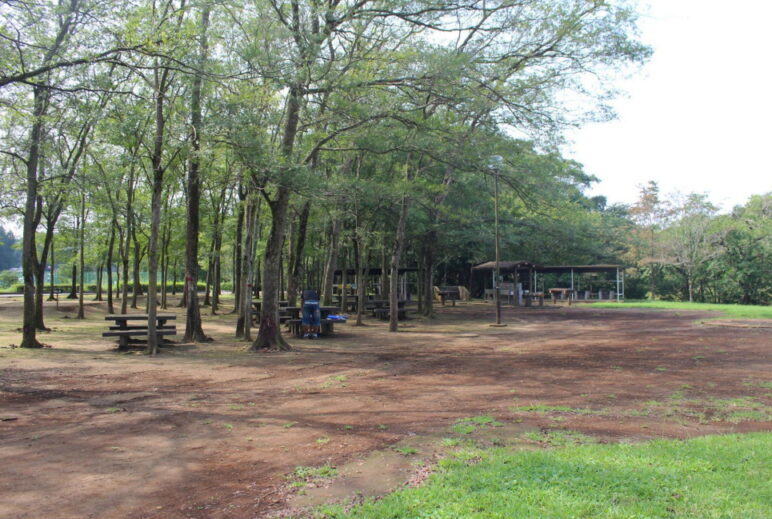 千葉県のおすすめ無料・格安キャンプ場11選 無料キャンプ場の利点・注意点とは- Campifyマガジン