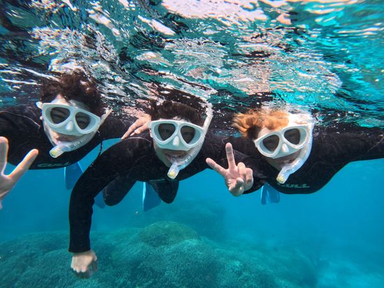 沖縄・石垣島 幻の島上陸＆シュノーケリング2ポイント＆小浜島フリープラン付き 1日プランアクティビティジャパン