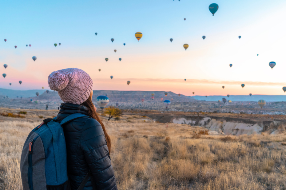 トラベルコーディネーター 観光案内ドライバー MKグループ