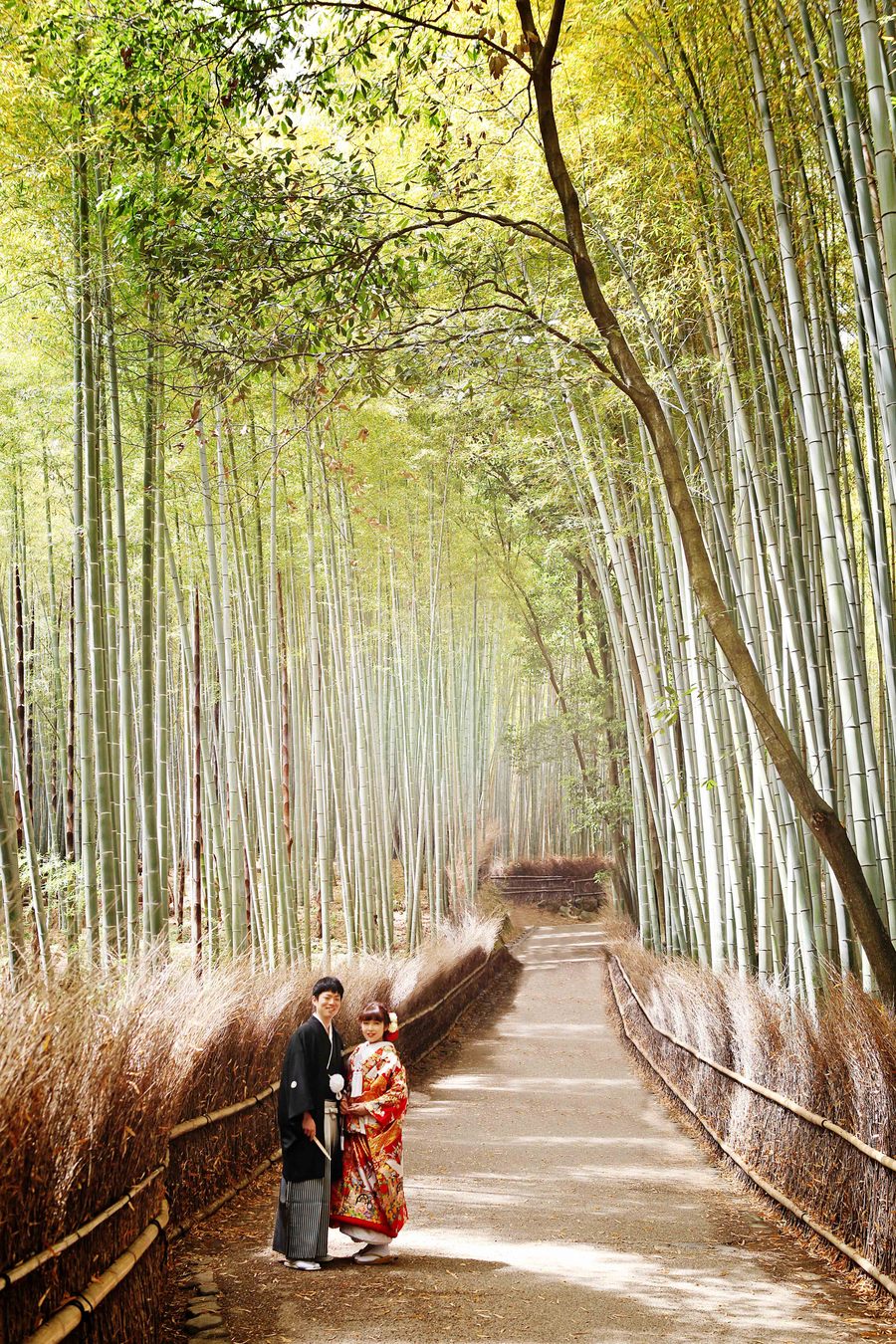 嵐山散策 京都で撮る 前撮り・フォトウェディング・結婚写真なら ワタベウェディング