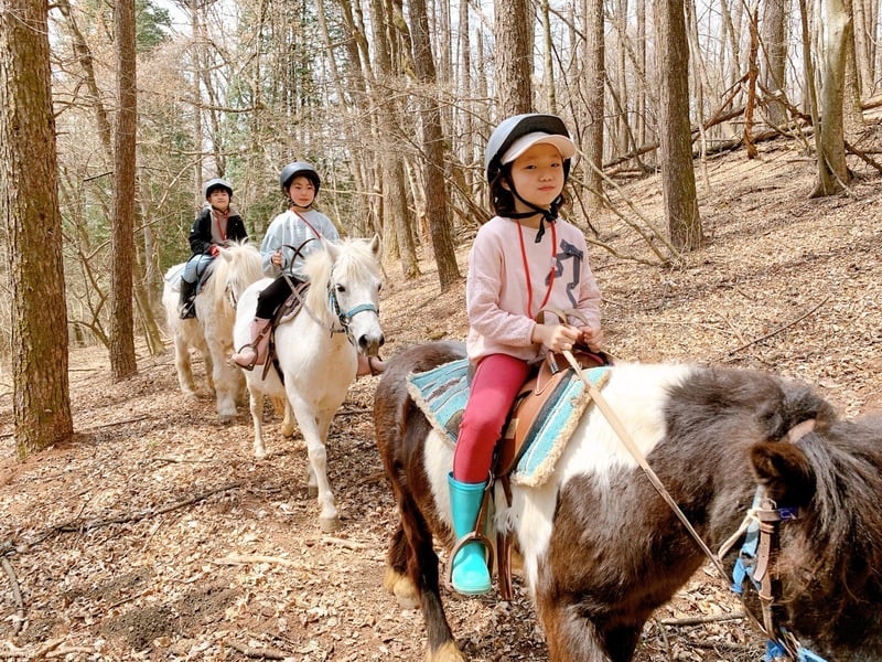 長野の牧場8カ所 体験や触れ合い、ソフトクリームなど家族で楽しめるスポットを紹介Go! NAGANO 長野県公式観光サイト