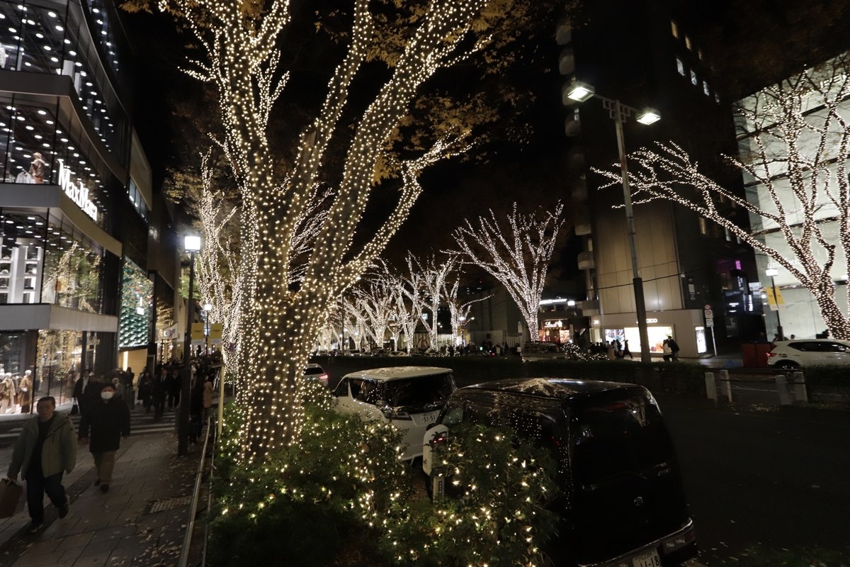 表参道 フェンディ イルミネーション 2024 - 原宿表参道オフィシャルサイト