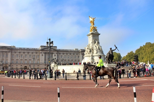 London Blog vol.14 前編 人々を魅了するバッキンガム宮殿の衛兵交代式独身実業家の日常