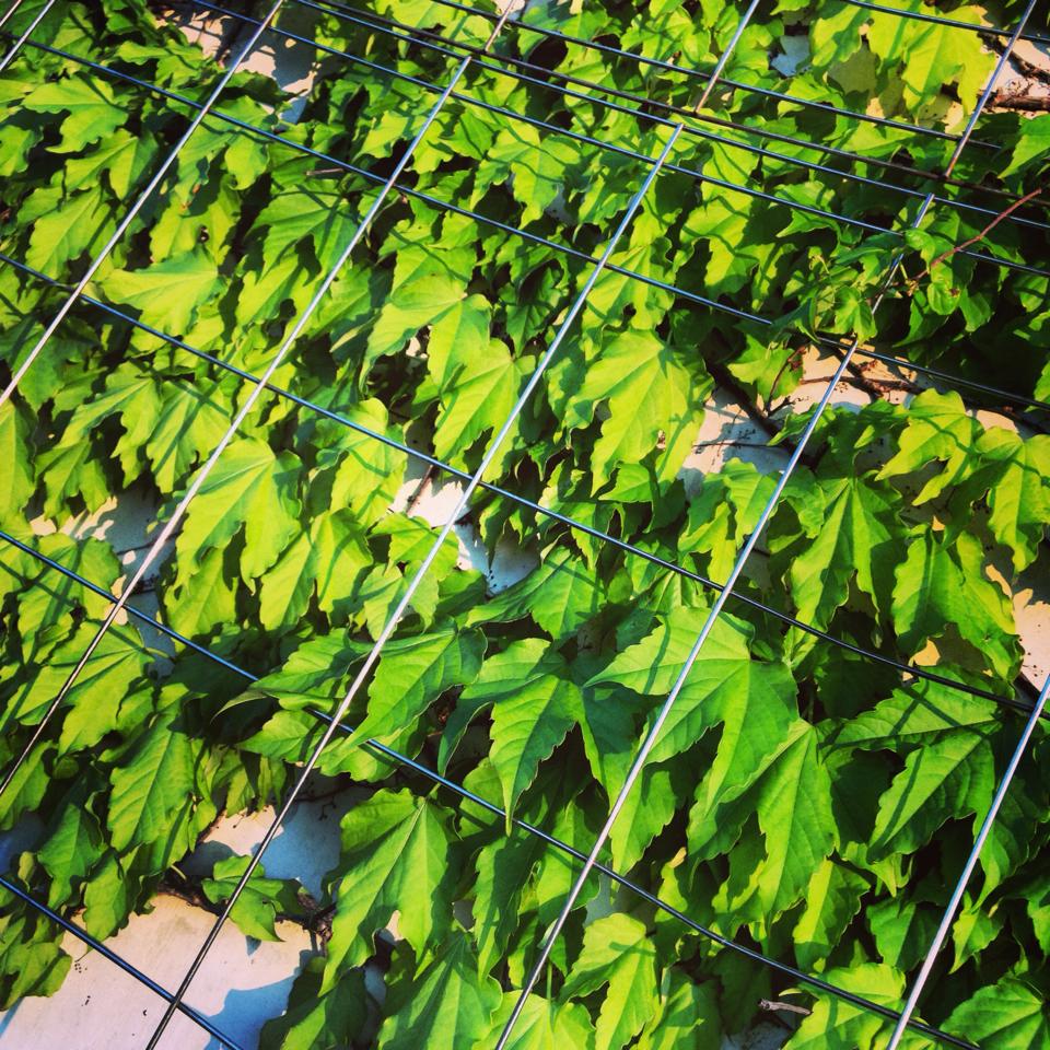 帰り道」の写真素材2,830件の無料イラスト画像Adobe Stock