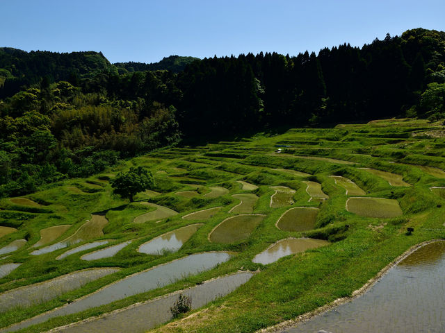 スカイタワーのバンジージャンプ 無料画像 - Public Domain Pictures