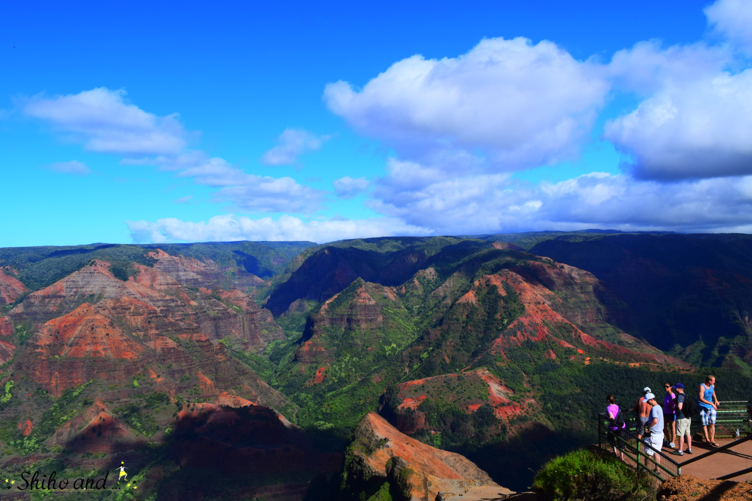 ワイメア・バレーでヒーリング, 滝つぼでぷかぷか気持ちいい,ワイメアワイメア渓谷滝ヒーリングヒーリングスポットノースショア名所名勝ハワイドライブハワイ大好きハワイライフハワイ好きな人と繋がりたいハワイ散歩ボタニカルボタニカルガーデンバードウォッチング野鳥野鳥写真野鳥撮影滝壺滝行waimea