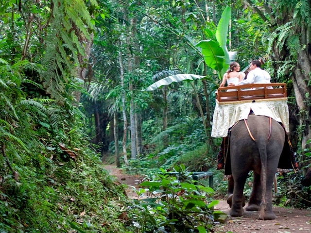 バリ島旅行記 絶対行きたいインスタ映え絶景ブランコ「Happy Swing Bali」ちーたろうの旅育手帖