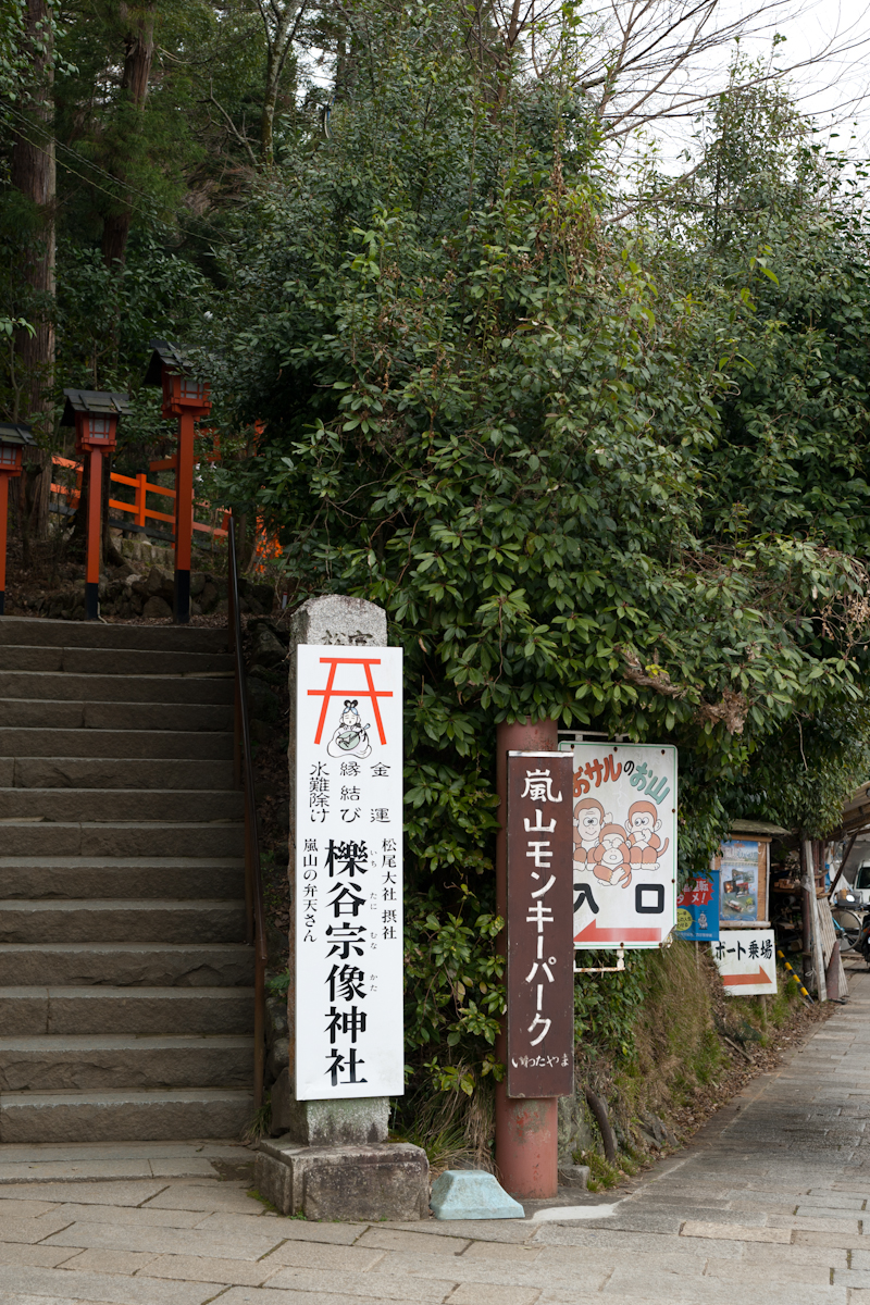 嵐山モンキーパークいわたやまの行き方、駐車場と所要時間について京都はんなりずむ