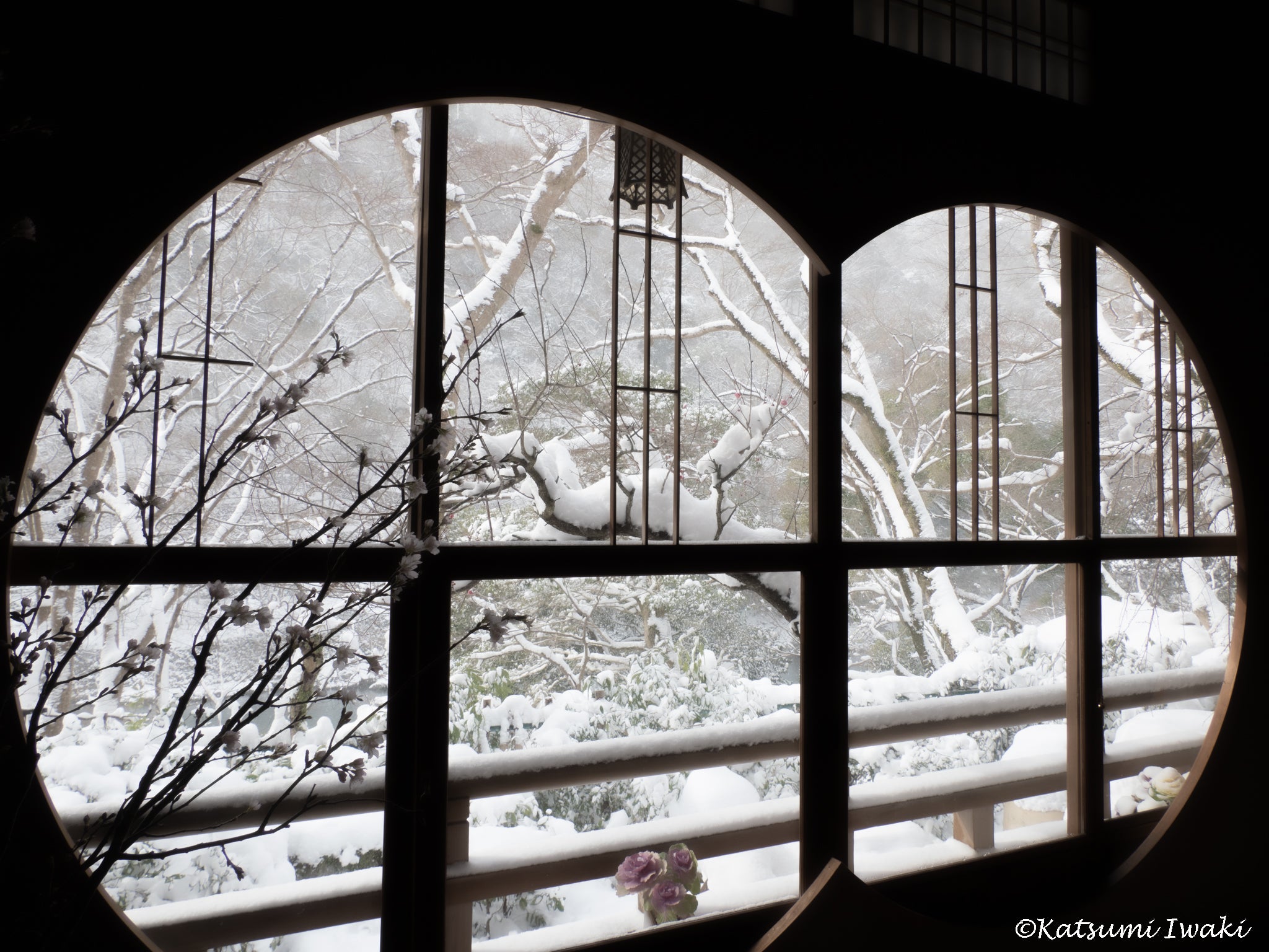 クチコミ : 嵐山祐斎亭 - 京都市右京区嵯峨亀ノ尾町 美術館 ネット予約OKYahoo!マップ