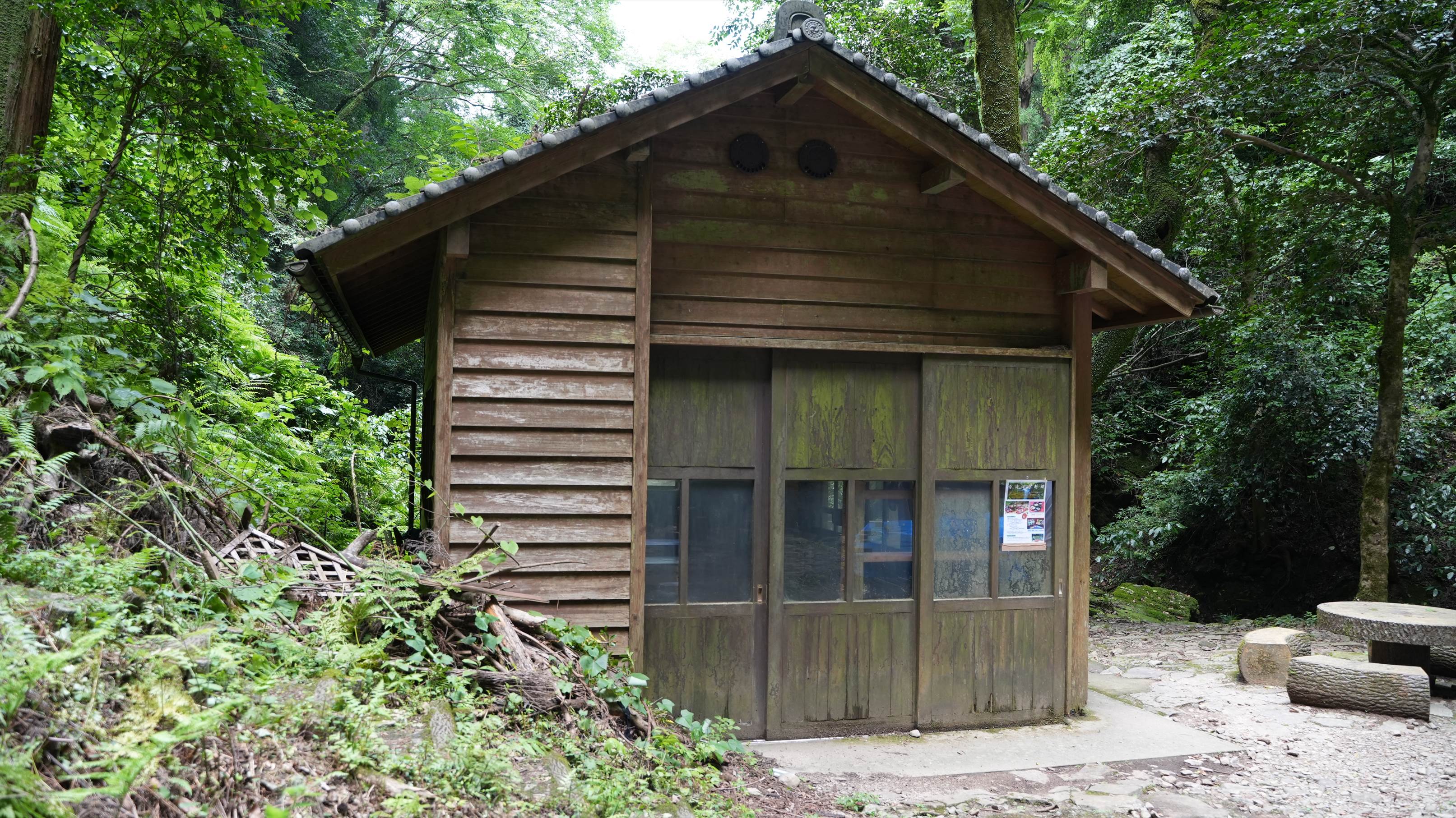 今滝は、鉢伏山 はちぶせやま を源流とする落差44ｍの一段滝です。駐車場から滝つぼまでが近く、気軽に森林浴ができ、滝での涼も満喫できます。事前予約にはなりますが、滝床で滝床料理や滝床弁当を楽しむことができます。個人プランは4名～です。詳細は下記