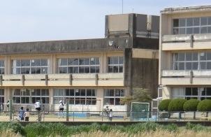 札幌市立中の島小学校-トップページ