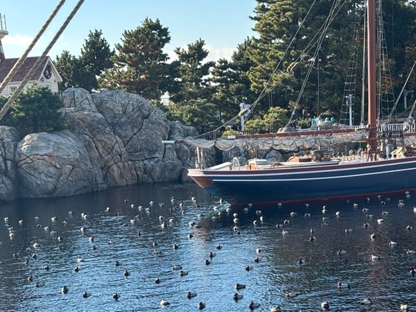 知らないと損！？ディズニーのレストランを予約して待ち時間を短縮しよう プライオリティ・シーティング- もっちのディズニーブログ