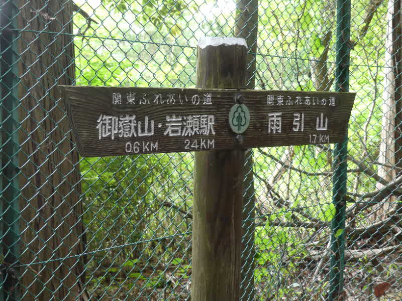 雨引観音の桜花見特集2025