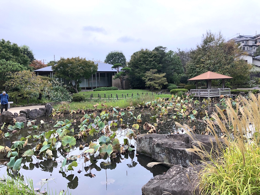 馬場花木園へのアクセス方法と駐車場は？ – 歩いてみたブログ