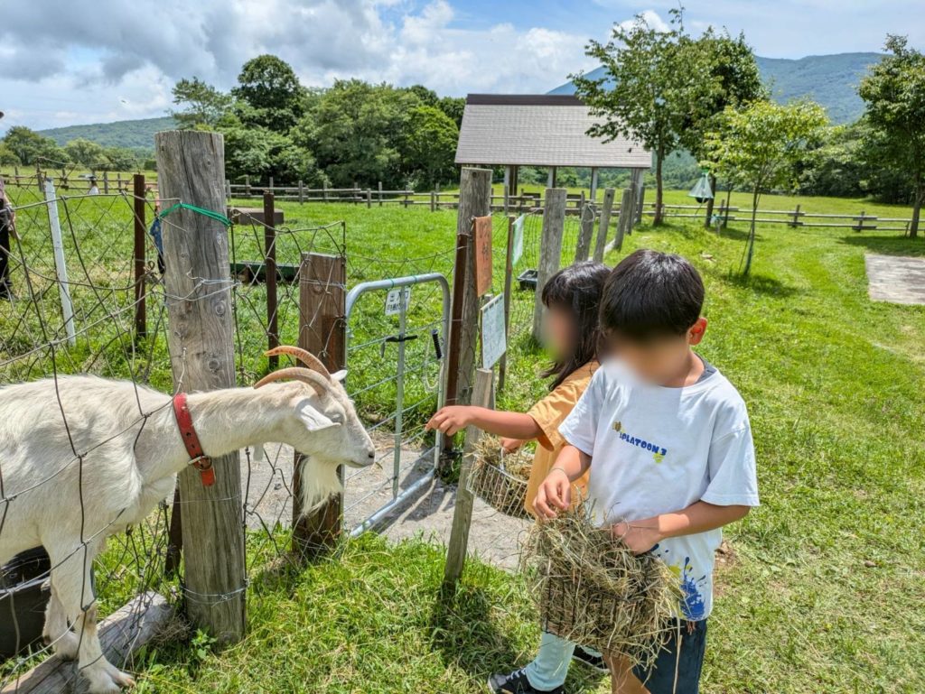 戸隠牧場のスポット情報長野市JAFナビ