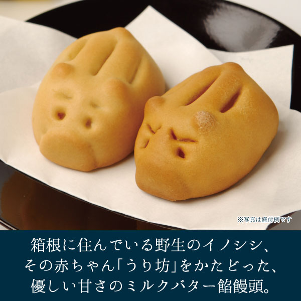 株式会社しいの食品＠箱根のうり坊 ココア＆ミルクバターサブレ - Ｍｒヘルの緩～い生活』by ヘルちゃん : 菊川商店きくかわしょうてん - 箱根湯本 和菓子食べログ