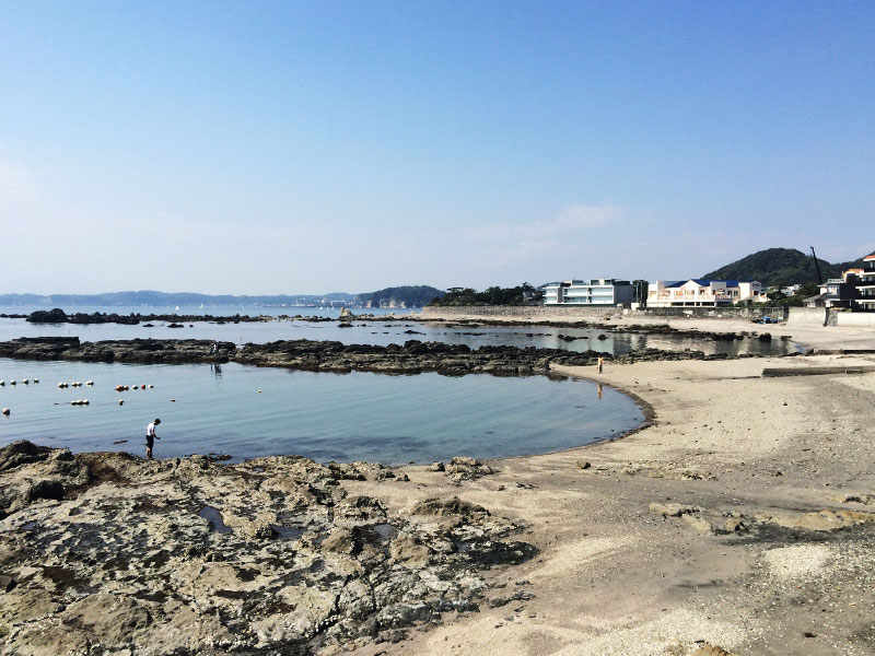 Vol.129 黄昏時、小さなカフェに錨をおろす。 2021.06.22BlogThe Canvas Hayama Park葉山公園を庭に、葉山の空気に包まれる旅