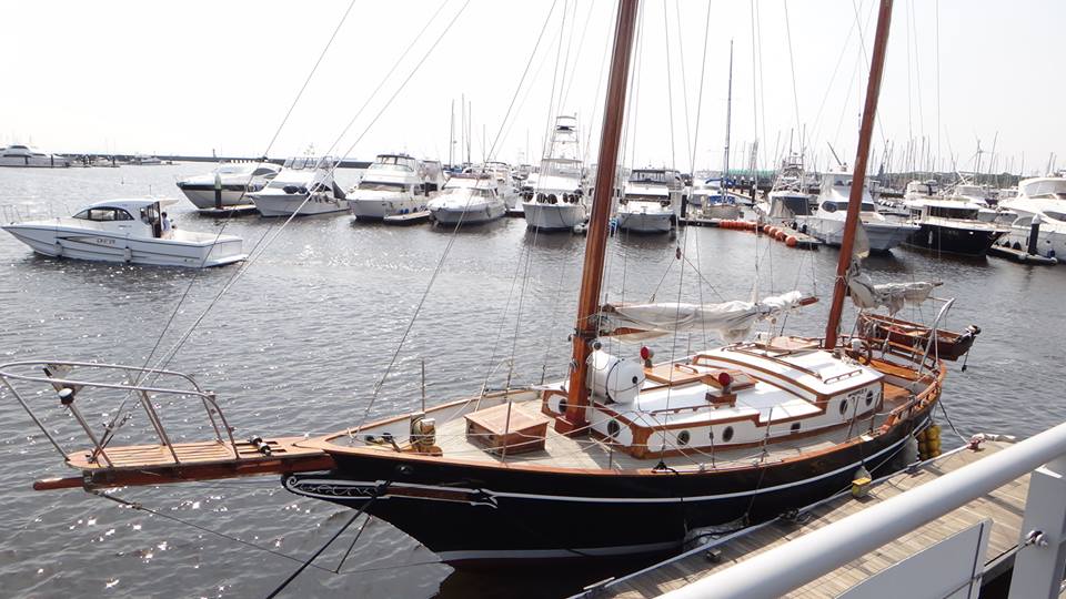 帆船Ami特集ライブラリー沼津市公式観光サイト 沼津観光ポータル