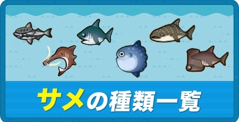 あつ森 サメ島に確実に行く方法と注意点 - YouTube