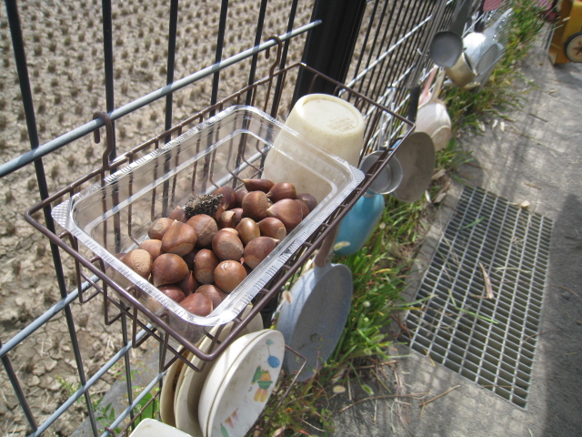 水族館にBBQも！？夏ならではの“ごっこあそび”で広がる保育園の世界 はる- エキスパート - Yahoo!ニュース