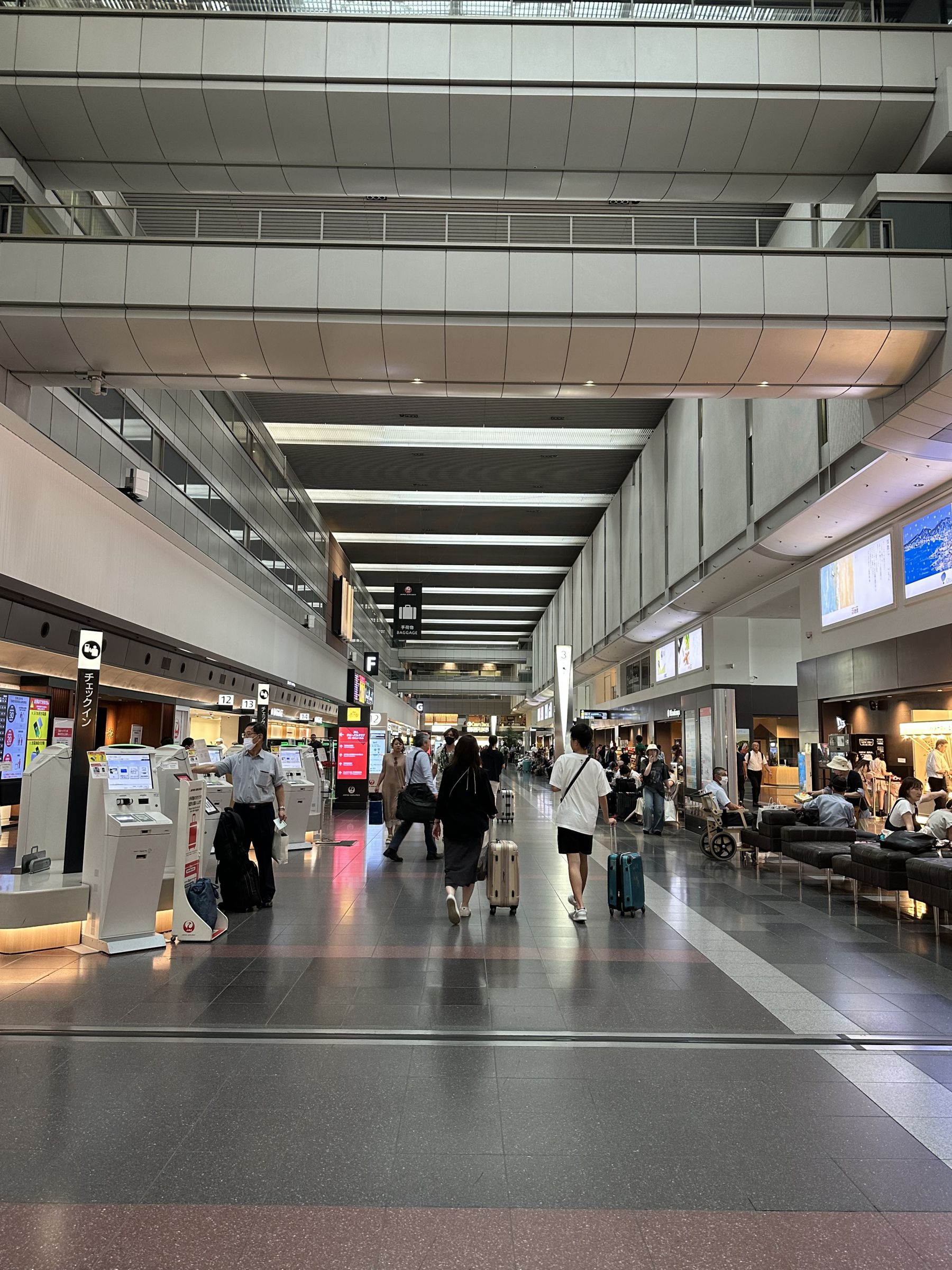 羽田空港国内線出発ロビー完全ガイドTikTok