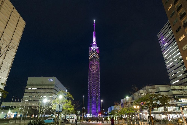 福岡タワー 博多2018 10 15 - 山からの眺望