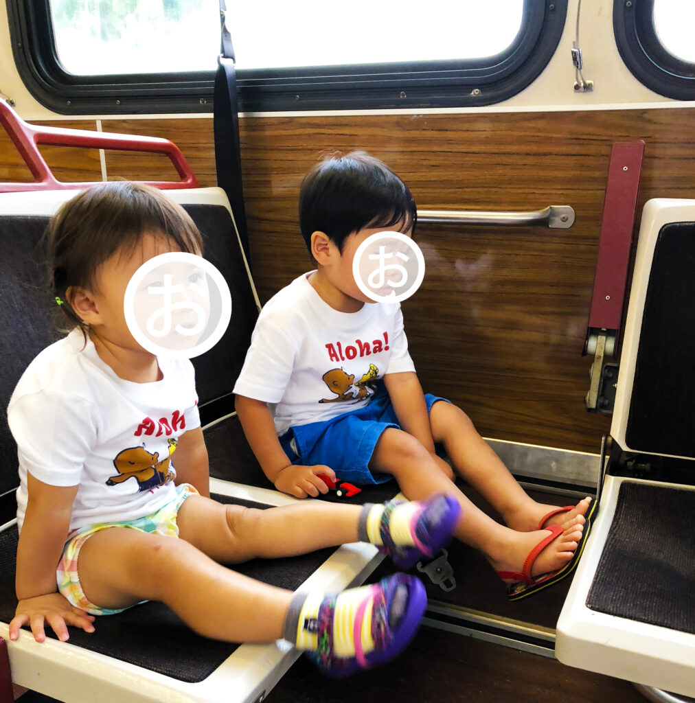 1歳1ヵ月の赤ちゃんと行く、ハワイ旅行記ブログ ～飛行機に乗るまで＆機内での過ごし方編～みにいブログ