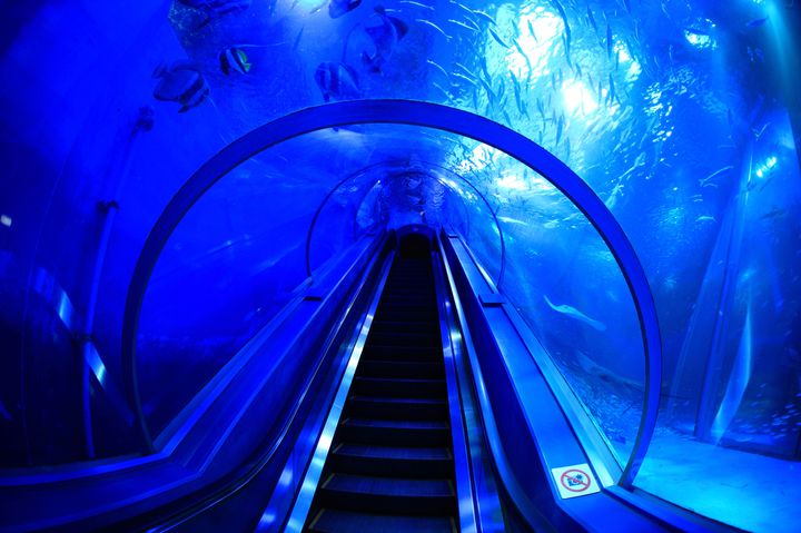 神奈川県 カップルにオススメ無料デートスポット10選のご紹介 - nosuke_kaisetu