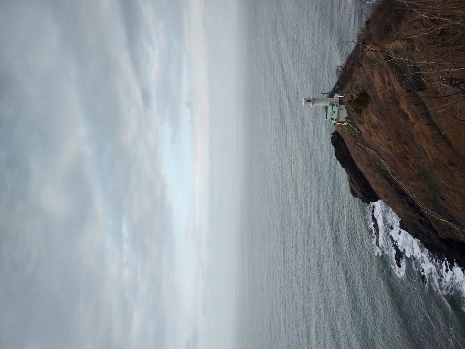 2020年7月24日 雨の角田山 登山 稲島コース - 初心者から始める登山、そして日常のブログ