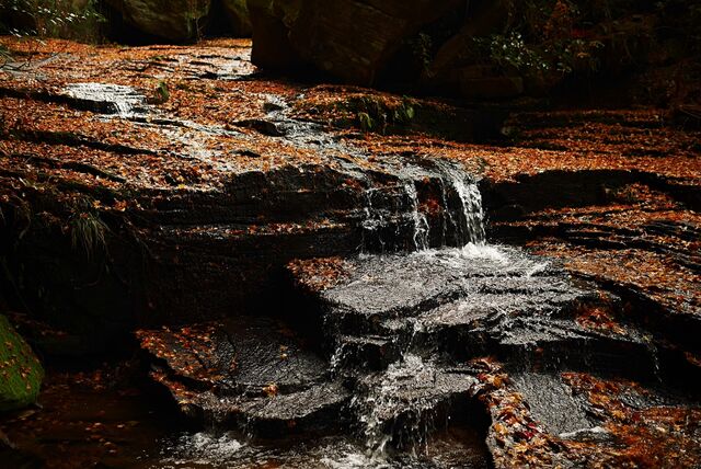 山中温泉：1300年の歴史と伝統文化が息づく渓谷の湯 - 日本の観光情報メディア