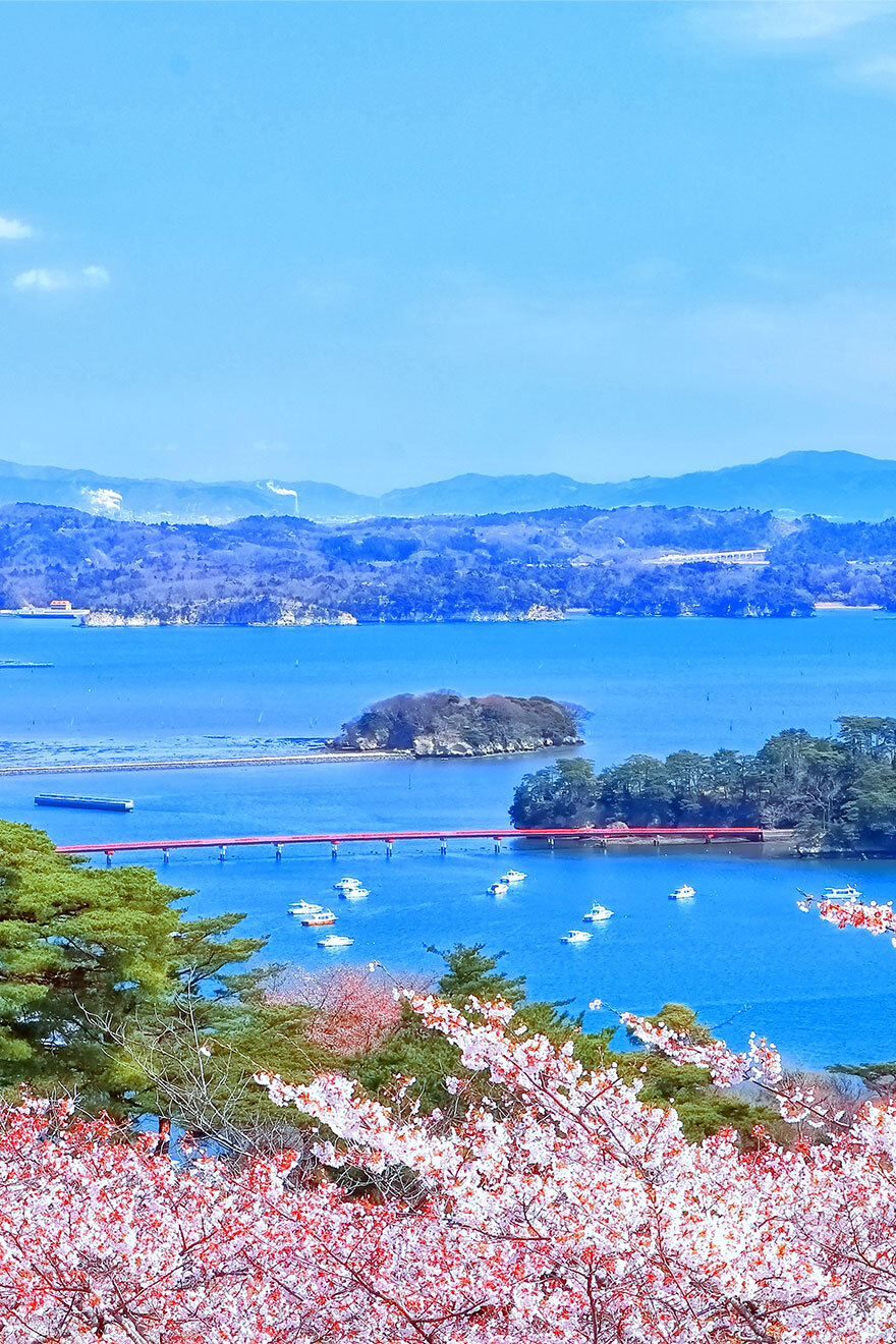 松島2020年10月OPEN！ 松島の新観光名所「宮城県 松島離宮」の楽しみ方シュープレスマガジン