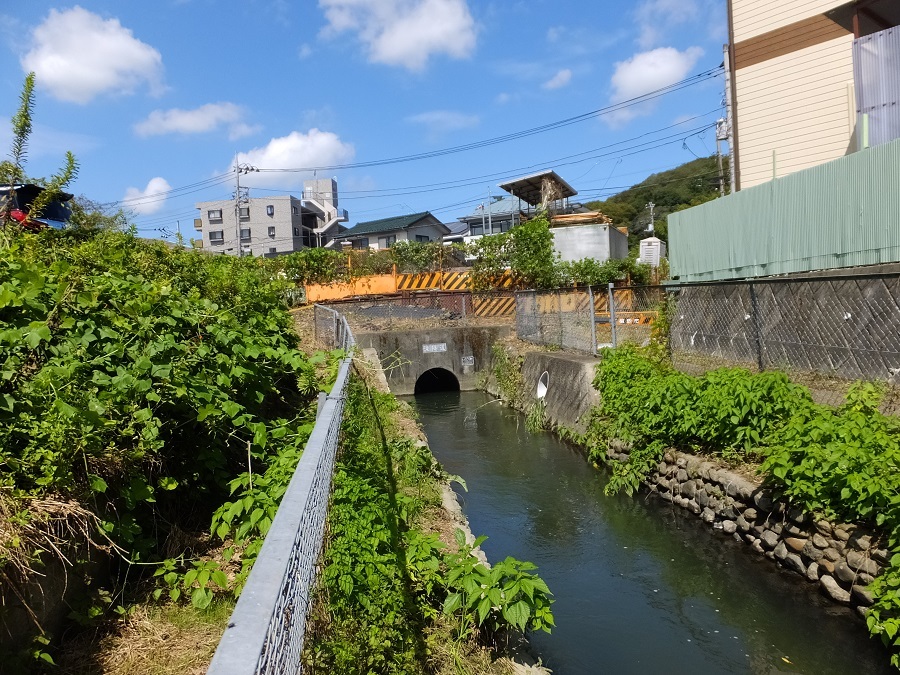 台北とお茶と烏山頭ダムを訪ねて 2012 5 6～10』その他の観光地 台湾 の旅行記・ブログ by HIT-Oさん フォートラベル