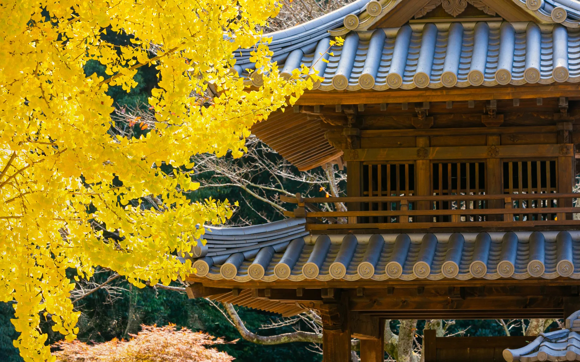 福厳寺：特別御朱印、こちらも開始しますふくてら