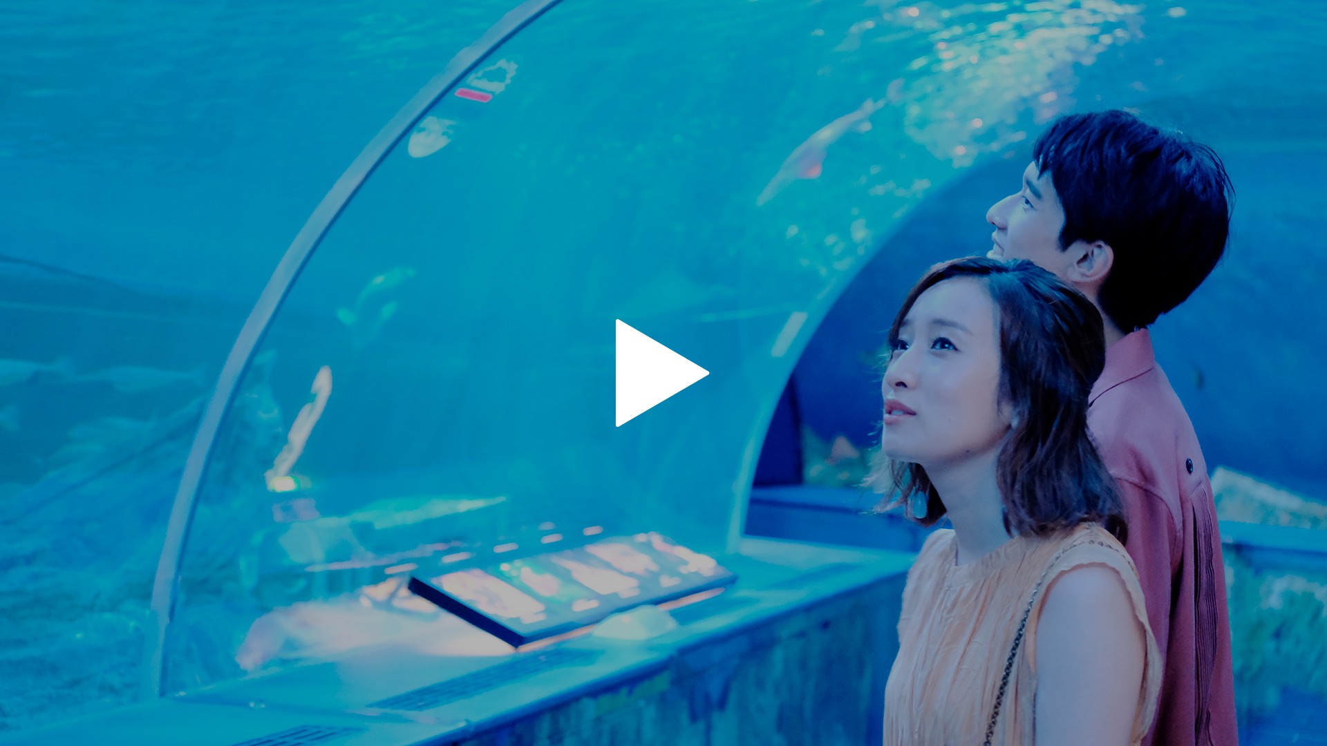 モテたい ダイバーだけが出来る水族館デートを本気で考えてみた！ダイビングの総合サイト Scuba Monsters スクーバモンスターズ