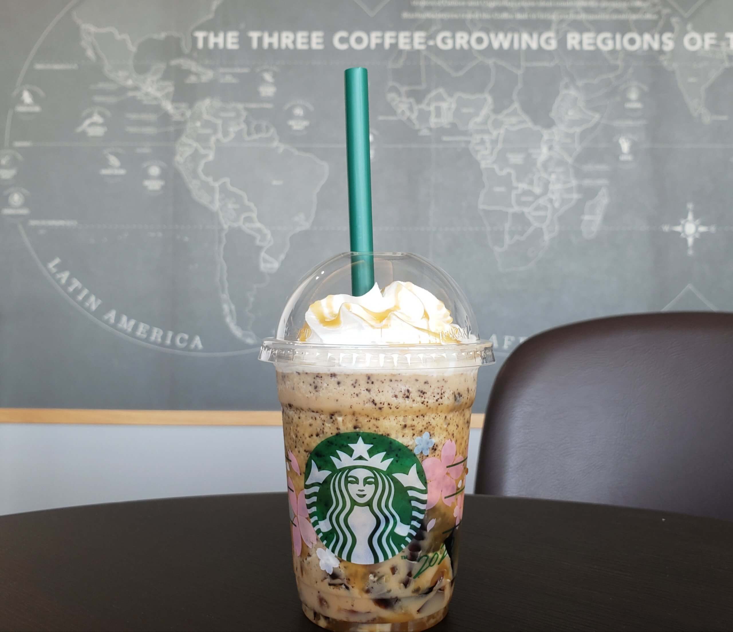 pomta. ☁️ dream moment at Umihotaru ☁️ 相方ちゃんと海ほたるのスターバックスへ🌊このピケベアが沈まないように、ふたりで笑いながら撮った🧸💙 空と海のあいだで飲む、アールグレイのティーラテはふわもこブルームースが雲みたいでやさしかった