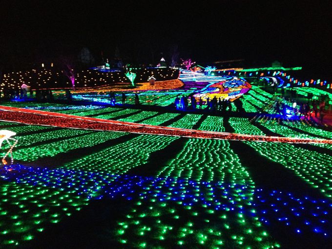 夜のマザー牧場が楽しめる期間限定「イルミネーションイベント」11月３日 金・祝 よりスタート！株式会社 マザー牧場のプレスリリース