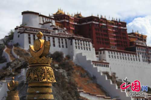 激安 チベット仏教大昭寺九眼弓形天珠 長さ47.5×15×