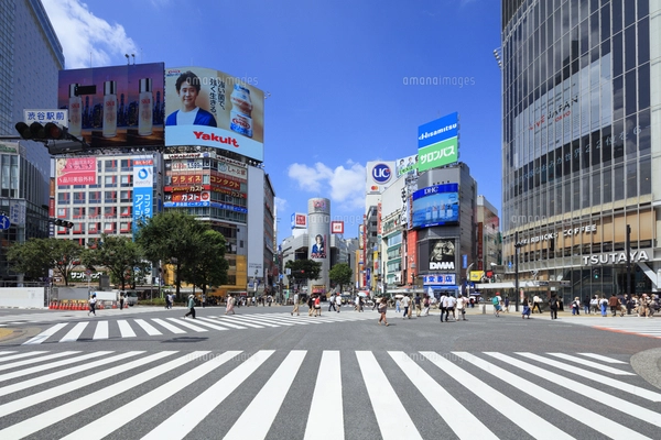 栃木にスクランブル交差点 渋谷の原寸大、撮影用に - 産経ニュース