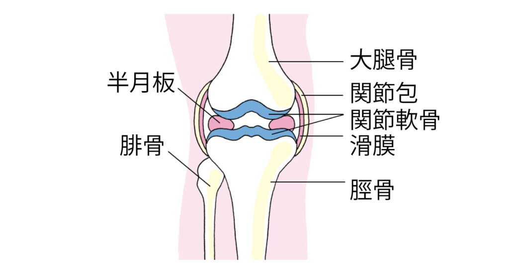 医療法人真泉会 今治第一病院