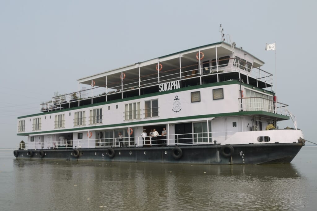 カジランガ国立公園インドで最高のサイの野生動物サファリ