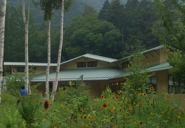 日帰り温泉・泊り・食事南アルプス赤石温泉白樺荘静岡市