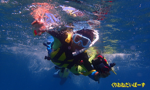 浮島海水浴場浮島海岸クチコミ・アクセス・周辺情報黄金崎・大田子 - フォートラベル