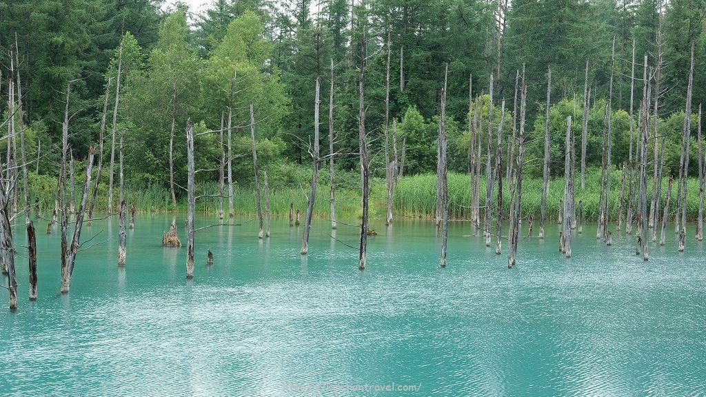 Macの壁紙「青い池」で美瑛町の観光客数は増加、一方で宿泊客数は減少。その原因をウェブ解析で探る一人でできるWebサイト収益UP術－ウェブ解析士事例集Web担当者Forum