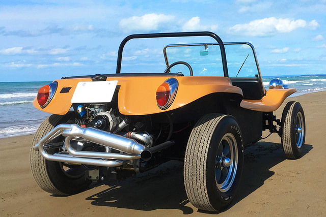 プンタ カナ発デューン バギー ダブル半日2025 - プンタカナ