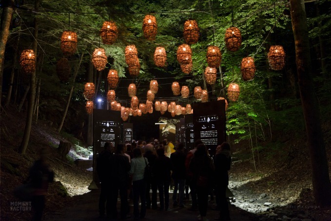 ISLAND LUMINAアイランドルミナ 入場チケット最先端技術の光と映像のデジタルアートの世界を冒険する体験型アトラクション＜日没後 長崎市伊王島＞長崎・諫早・島原の観光&遊び・体験・レジャー専門予約サイト VELTRA ベルトラ