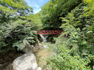 朝明渓谷川遊び - My Family