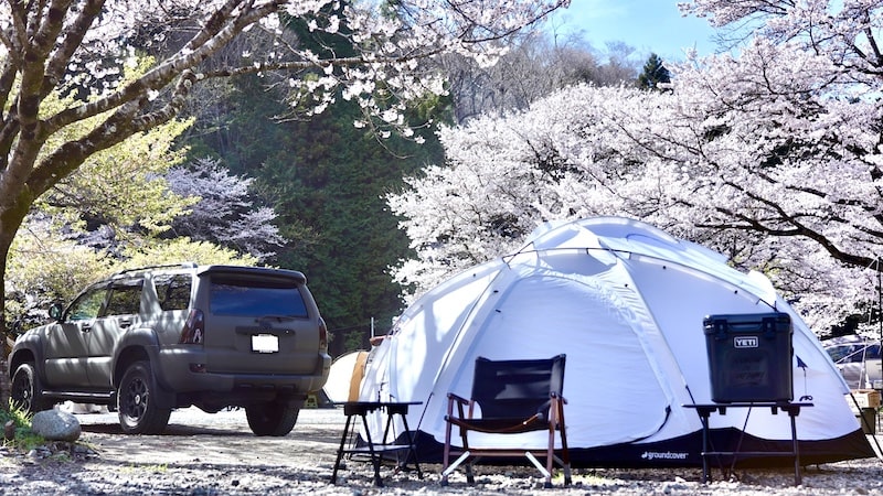 満開の桜が圧巻！ 青野原オートキャンプ場をご紹介 - STRAYCATS - レンタルで行ける最上級キャンプ体験